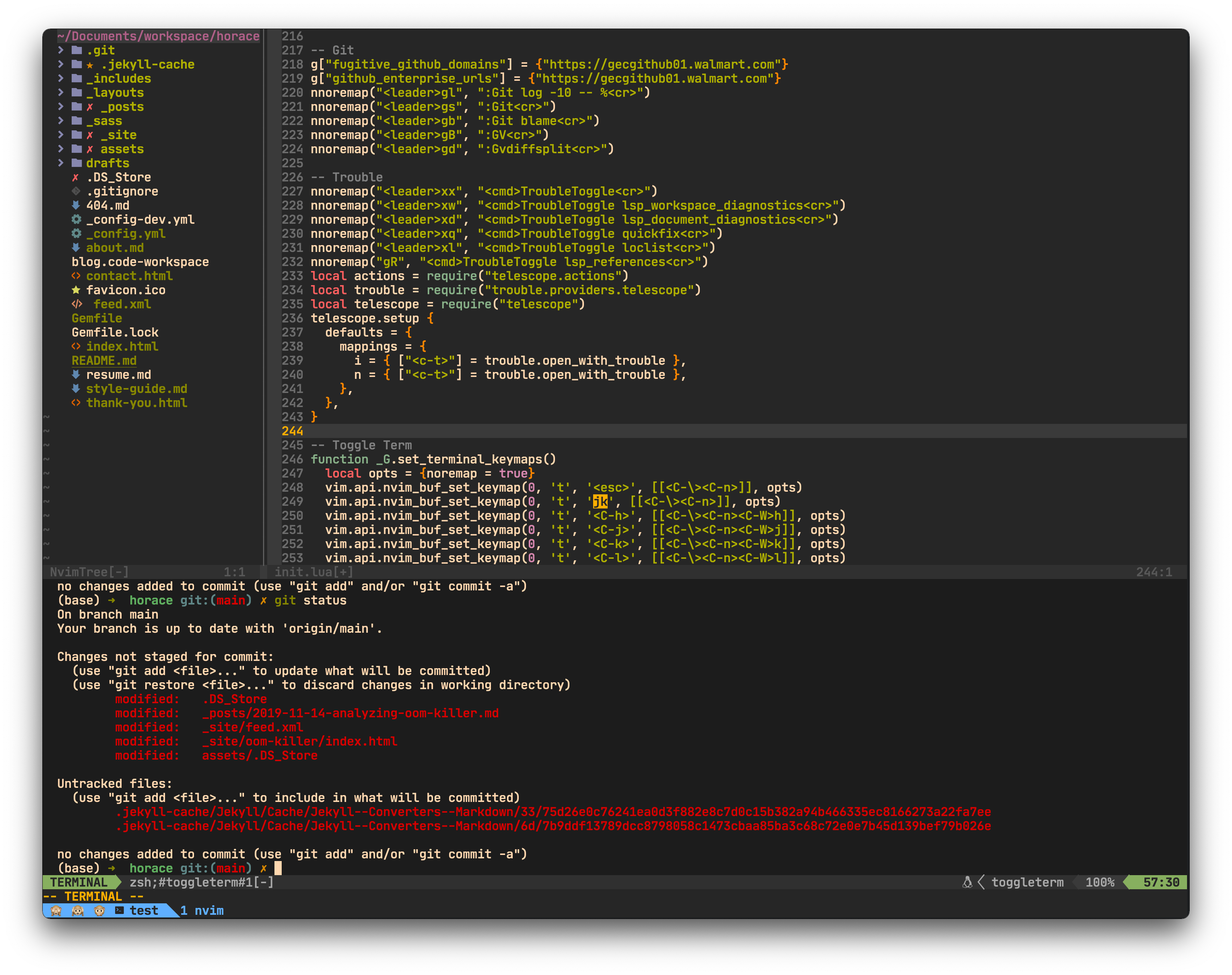 Steps to customize neovim